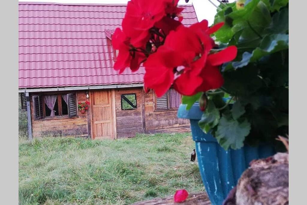 Log Cabin Uvac Nova Varoš Esterno foto