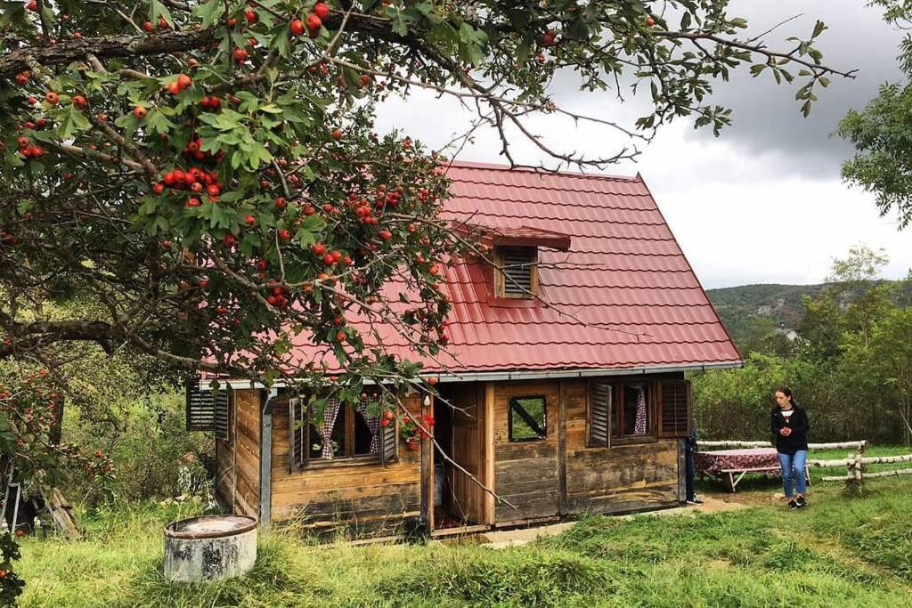Log Cabin Uvac Nova Varoš Esterno foto